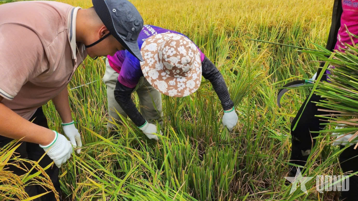 Người đi tìm vòng đời mới cho rơm